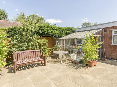 Picture 21